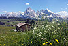 gallery_01