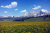 gallery_02