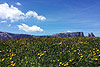 gallery_03