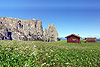 gallery_04
