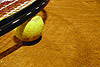 gallery_02
